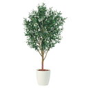 人工観葉植物 ライプオリーブ 180 ポット付き 高さ180cm (P79-91393) (代引き不可) インテリアグリーン フェイクグリーン