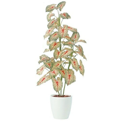 樂天商城 - 人工観葉植物 カラジウムトロピカーナ 160 ポット付き 高さ160cm （P94-91449) （代引き不可） インテリアグリーン フェイクグリーン