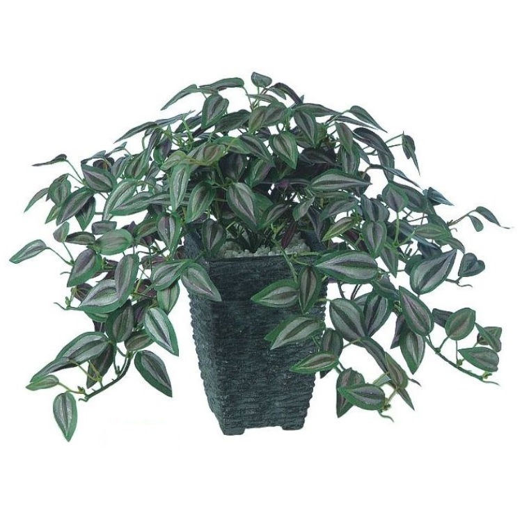 人工観葉植物 セブリナ ポット付き 高さ25cm （P106-91490) （代引き不可） インテリアグリーン フェイ..