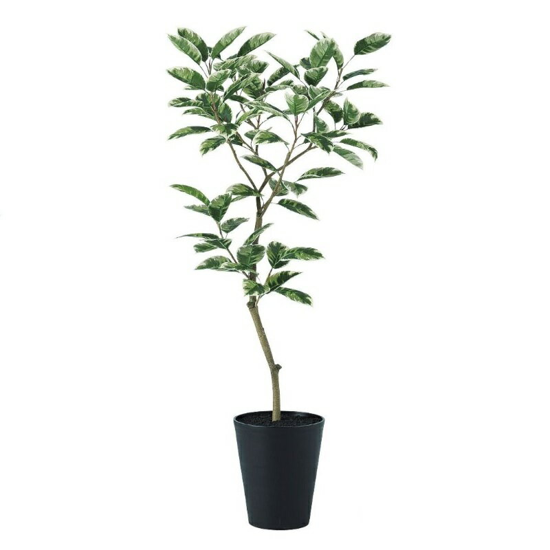 Leafy Plants - 人工観葉植物 デコラトリカラー FST 150 ポット付き 高さ150cm （P50-91606) （代引き不可） インテリアグリーン フェイクグリーン