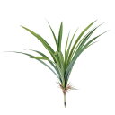 オリヅルラン 人工観葉植物 アオオリヅルラン ブッシュ 長さ35cm （P135-91679) （代引き不可） インテリアグリーン フェイクグリーン