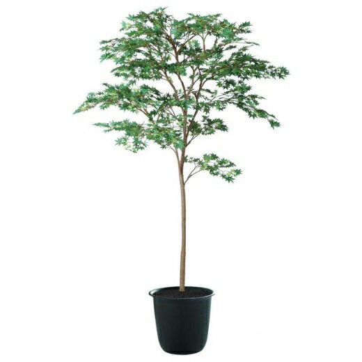 人工観葉植物 ヤマモミジ 180 GREEN FST ポット付き 高さ180cm （P123-91759) （代引き不可） インテリアグリーン フェイクグリーン