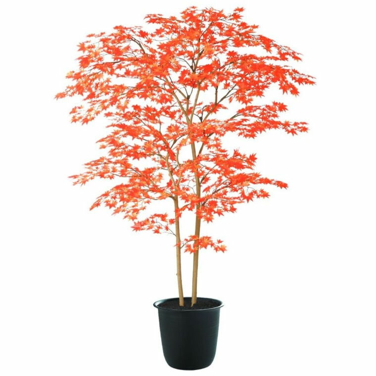 人工観葉植物 ヤマモミジ株立 150 RED FST ポット付き 高さ150cm （P124-91773) （代引き不可） インテリアグリーン フェイクグリーン