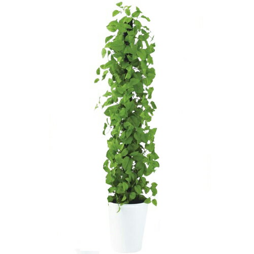 楽天人形のゆめさき人工観葉植物 MIX ヘゴ ライム/ライム 150 Pole style ポット付き 高さ150cm （P68-91801） （代引き不可） インテリアグリーン フェイクグリーン