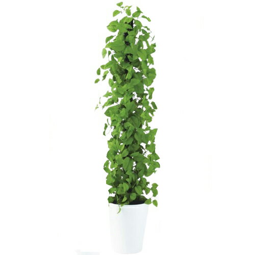 乐天商城 - 人工観葉植物 MIX ヘゴ ライム/ライム 150 Pole style ポット付き 高さ150cm （P68-91801) （代引き不可） インテリアグリーン フェイクグリーン