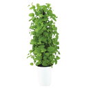 人工観葉植物 MIX ヘゴ ライム/ライム 90 Pole style ポット付き 高さ90cm (P68-91802) (代引き不可) インテリアグリーン フェイクグリーン