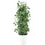 人工観葉植物 マーブルポトスヘゴ 90 Pole style ポット付き 高さ90cm （P70-91808) （代引き不可） インテリアグリーン フェイクグリーン