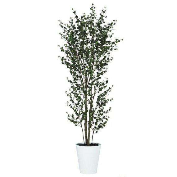 Benjamin - 人工観葉植物 ベンジャミンバロック FST 180 ポット付き 高さ180cm （P73-91811) （代引き不可） インテリアグリーン フェイクグリーン