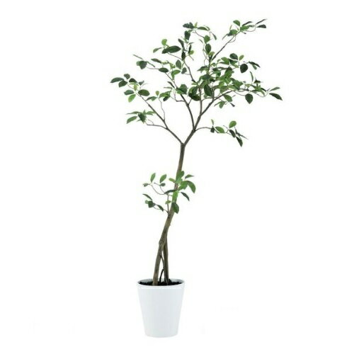 乐天商城 - 人工観葉植物 ガジュマル FST 150 ポット付き 高さ150cm （P51-91812) （代引き不可） インテリアグリーン フェイクグリーン