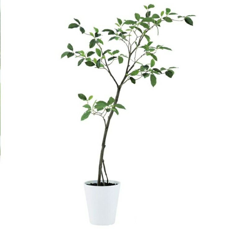Leafy Plants - 人工観葉植物 ガジュマル FST 120 ポット付き 高さ120cm （P51-91814) （代引き不可） インテリアグリーン フェイクグリーン