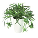 オリヅルラン 人工観葉植物 オリヅルラン G ポット付き 高さ30cm （P97-91831) （代引き不可） インテリアグリーン フェイクグリーン