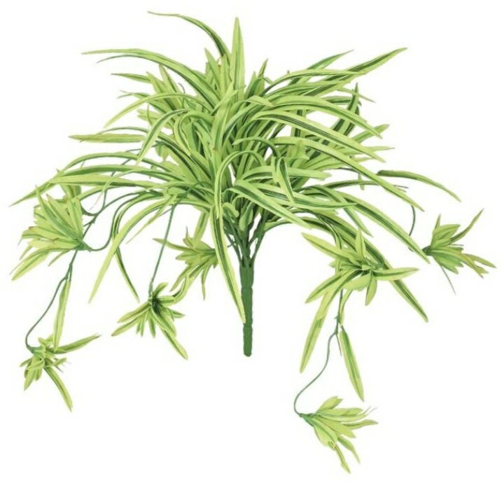 オリヅルラン 人工観葉植物 オリヅルラン G/Y ブッシュ 長さ25cm （P135-91841) （代引き不可） インテリアグリーン フェイクグリーン