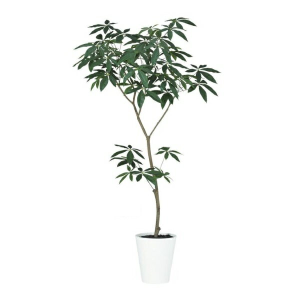 人工観葉植物 パキラ FST 180 ポット付き 高さ180cm （P52-91854) （代引き不可） インテリアグリーン フェイクグリーン