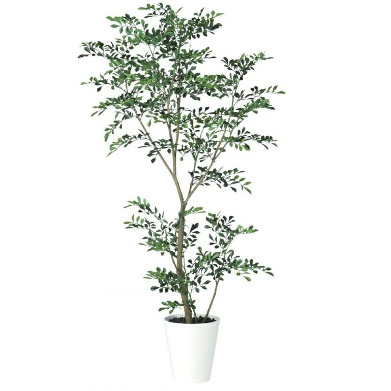 乐天商城 - 人工観葉植物 トネリコ FST 150 ポット付き 高さ150cm （P76-91887) （代引き不可） インテリアグリーン フェイクグリーン