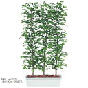 人工観葉植物 ベンシャミナスプラッシュ パーティション 200 natural ポット付き 高さ200cm (P61-96368) (代引き不可) インテリアグ...