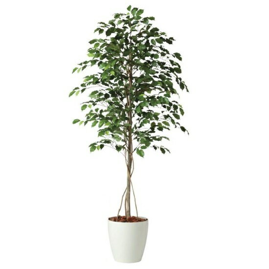 乐天商城 - 人工観葉植物 フィッカスベンシャミナ 180 natural ポット付き 高さ180cm （P57-98518) （代引き不可） インテリアグリーン フェイクグリーン