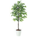 人工観葉植物 ベンジャミナスプラッシュ 180 natural ポット付き 高さ180cm (P57-98530) (代引き不可) インテリアグリーン フェイク...