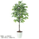 人工観葉植物 ベンジャミナスプラッシュ 150 natural ポット付き 高さ150cm （P57-98531) （代引き不可） インテリアグリーン フェイクグリーン