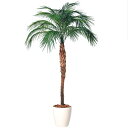 人工観葉植物 フェニックス・ロベレニー 200〜300 ポット付き 高さ200〜300cm (P83-98685) (代引き不可) インテリアグリーン フェイク...