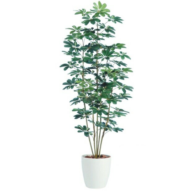 樂天商城 - 人工観葉植物 シェフレラ 180 ポット付き 高さ180cm （P44-98889) （代引き不可） インテリアグリーン フェイクグリーン