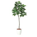 人工観葉植物 アルテシマ FST 180 ポット付き 高さ180cm (P49-98929) (代引き不可) インテリアグリーン フェイクグリーン