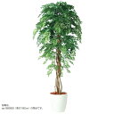 人工観葉植物 アカシアリアナ 200 ポット付き 高さ200cm (P80-98981) (代引き不可) インテリアグリーン フェイクグリーン