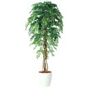 人工観葉植物 アカシアリアナ 180 ポット付き 高さ180cm (P80-98983) (代引き不可) インテリアグリーン フェイクグリーン