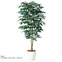 人工観葉植物 コーヒーデュアル 200 ポット付き 高さ200cm (P80-98987) (代引き不可) インテリアグリーン フェイクグリーン