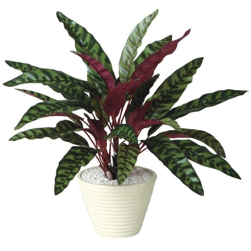 Leafy Plants - 人工観葉植物 ランキフォリア ポット付き 高さ40cm （P112-99051) （代引き不可） インテリアグリーン フェイクグリーン