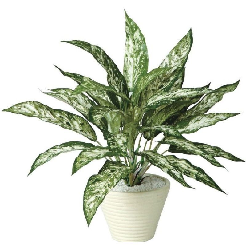 人工観葉植物 アグラオネマ ポット付き 高さ40cm （P112-99054) （代引き不可） インテリアグリーン フ..