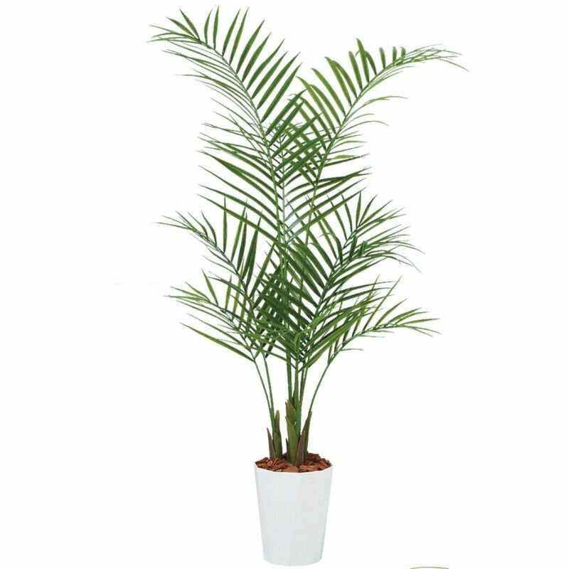 乐天商城 - 人工観葉植物 アカシヤシ PE 130 ポット付き 高さ130cm （P85-99159) （代引き不可） インテリアグリーン フェイクグリーン