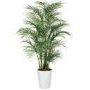 人工観葉植物 アカシヤシ PE MIX 220 ポット付き 高さ220cm (P84-99162) (代引き不可) インテリアグリーン フェイクグリーン