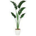 人工観葉植物 ストレチア・オーガスタ 200 ポット付き 高さ200cm (P89-99163) (代引き不可) インテリアグリーン フェイクグリーン