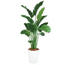 人工観葉植物 ストレチア・オーガスタ MIX 200 ポット付き 高さ200cm (P88-99172) (代引き不可) インテリアグリーン フェイクグリーン