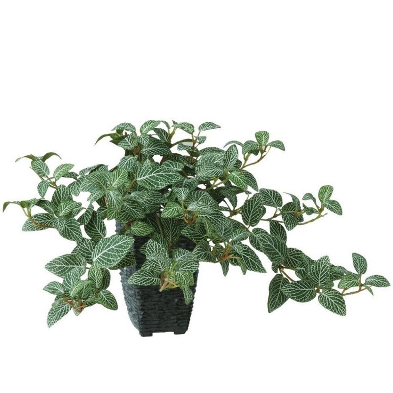 人工観葉植物 フィットニアハンキング ポット付き 高さ25cm （P106-99186) （代引き不可） インテリア..
