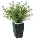 人工観葉植物 ローズマリー ポット付き 高さ35cm (P108-99189) (代引き不可) インテリアグリーン フェイクグリーン