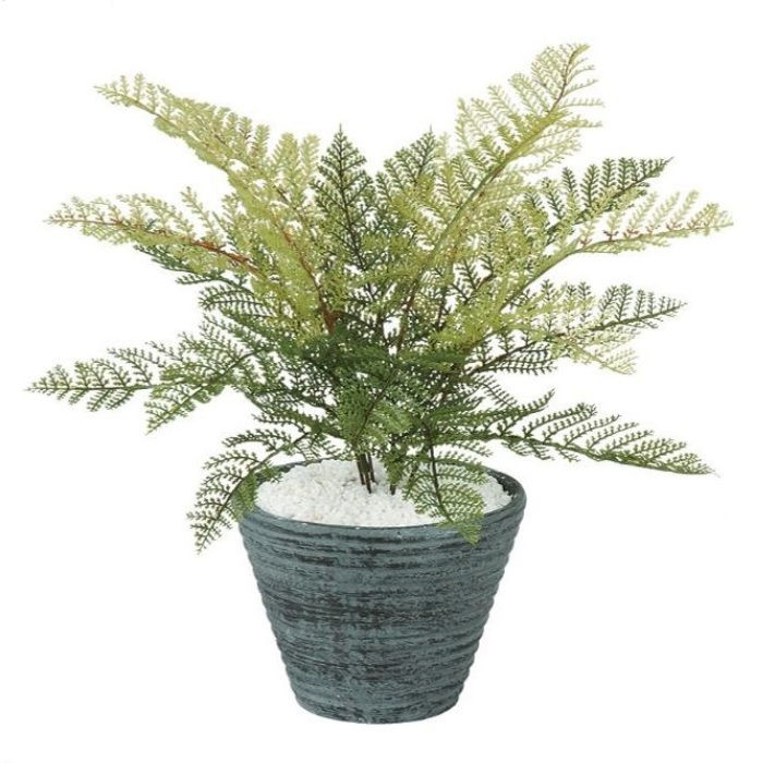 人工観葉植物 フェザーファン ポット付き 高さ30cm （P99-99205) （代引き不可） インテリアグリーン ..