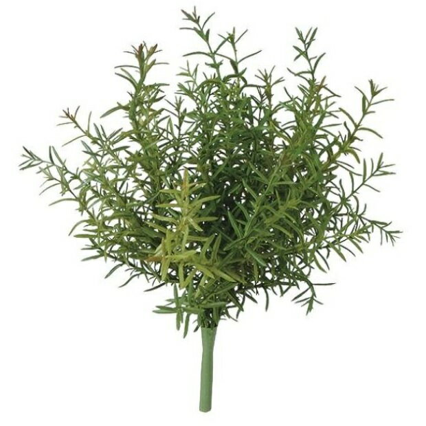 樂天商城 - 人工観葉植物 ローズマリー ブッシュ 長さ30cm （P133-99236) （代引き不可） インテリアグリーン フェイクグリーン