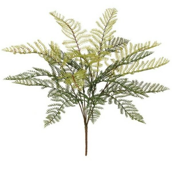 乐天商城 - 人工観葉植物 フェザーファン ブッシュ 長さ35cm （P137-99264) （代引き不可） インテリアグリーン フェイクグリーン