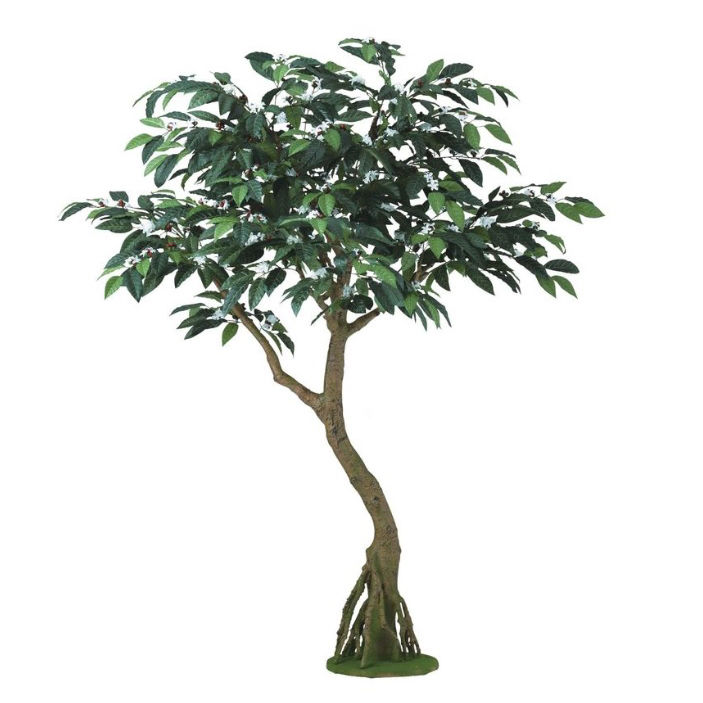 人工観葉植物 コーヒー コアッド 200 高さ200cm （P16-99346) （代引き不可） インテリアグリーン フェ..