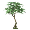 人工観葉植物 アカシア コアッド 200 高さ200cm (P12-99348) (代引き不可) インテリアグリーン フェイクグリーン