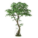 人工観葉植物 ベンシャミナスプラッシュ コアッド 230 ポット付き 高さ230cm (P13-99355) (代引き不可) インテリアグリーン フェイクグリー...