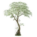 人工観葉植物 ベンシャミナスターライト コアッド 230 ポット付き 高さ230cm (P14-99357) (代引き不可) インテリアグリーン フェイクグリー...