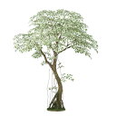 人工観葉植物 ベンシャミナスターライト コアッド 200 高さ200cm (P14-99358) (代引き不可) インテリアグリーン フェイクグリーン