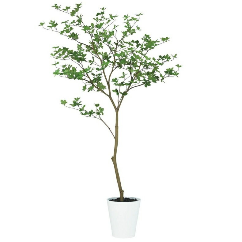 乐天商城 - 人工観葉植物 ドウダンツツジ FST 160 ポット付き 高さ160cm （P77-99375) （代引き不可） インテリアグリーン フェイクグリーン