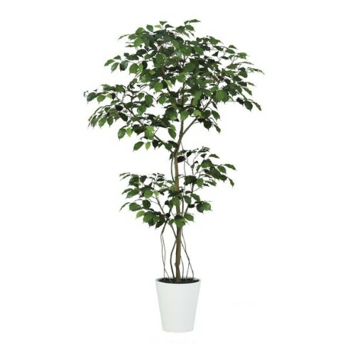 人工観葉植物 ベンジャミン FST 150 ポット付き 高さ150cm （P55-99383) （代引き不可） インテリアグリーン フェイクグリーン