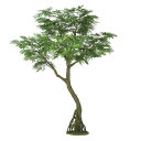 人工観葉植物 エバーフレッシュ コアッド 230 ポット付き 高さ230cm (P16-99385) (代引き不可) インテリアグリーン フェイクグリーン