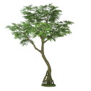 人工観葉植物 エバーフレッシュ コアッド 200 高さ200cm (P16-99386) (代引き不可) インテリアグリーン フェイクグリーン