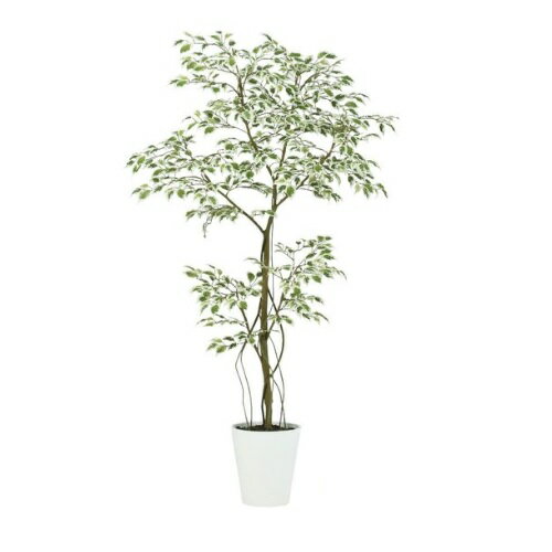 人工観葉植物 スターライト FST 150 ポット付き 高さ150cm （P55-99393) （代引き不可） インテリアグリーン フェイクグリーン