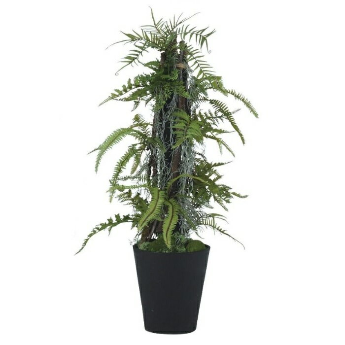 乐天商城 - 人工観葉植物 ミックスファンヘゴ 90 Pole style ポット付き 高さ90cm （P67-99410) （代引き不可） インテリアグリーン フェイクグリーン